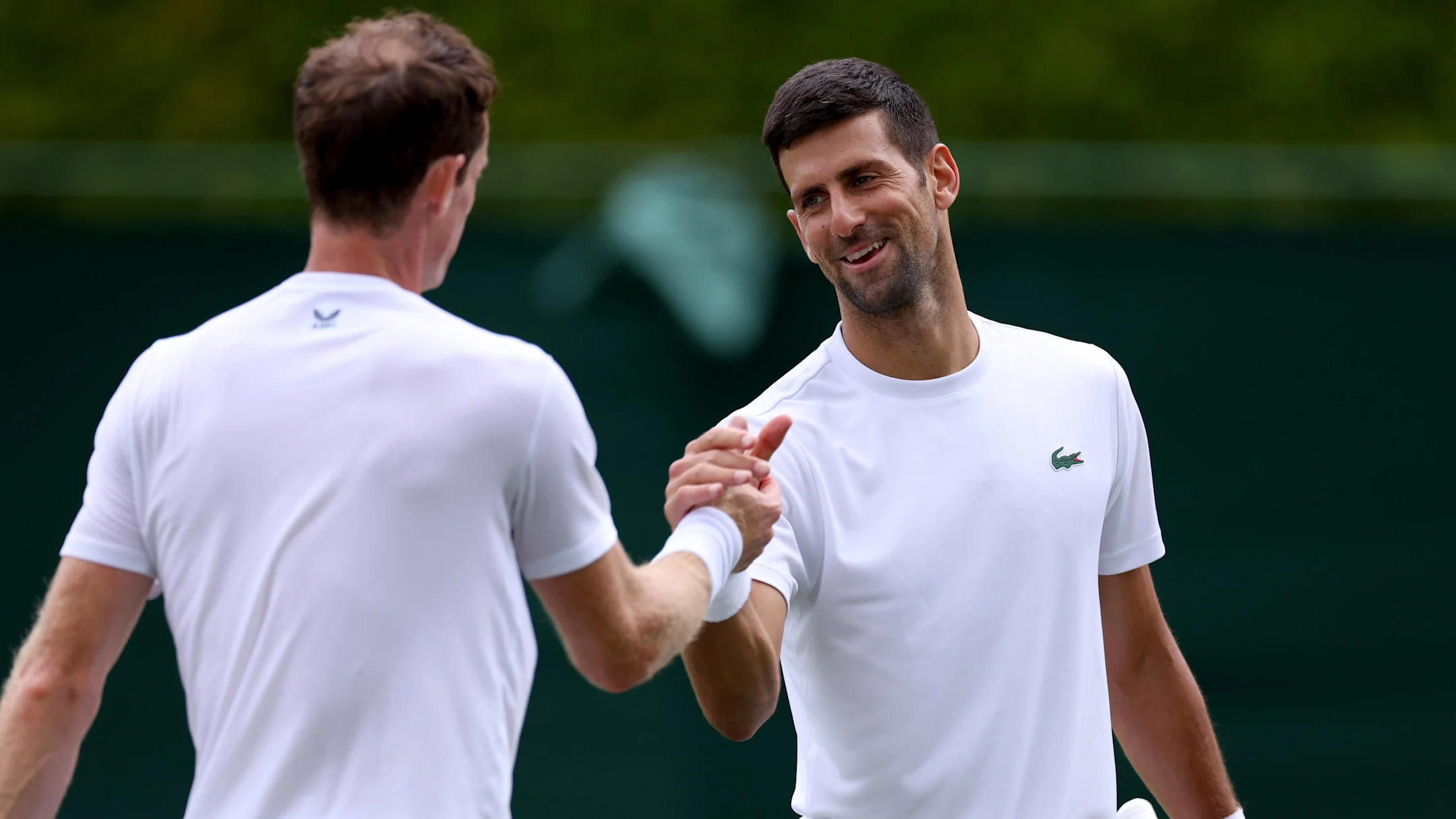 ‘Never liked retirement anyway’: Novak Djokovic appoints Andy Murray as coach for Australian Open 2025